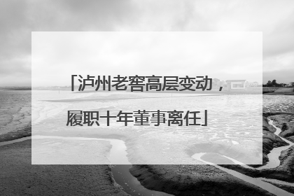 泸州老窖高层变动，履职十年董事离任