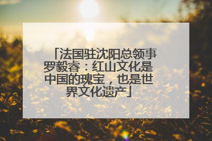 法国驻沈阳总领事罗毅睿：红山文化是中国的瑰宝，也是世界文化遗产