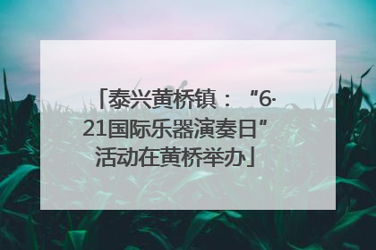 泰兴黄桥镇：“6·21国际乐器演奏日”活动在黄桥举办