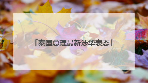 泰国总理最新涉华表态