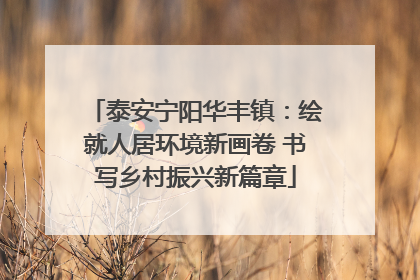 泰安宁阳华丰镇：绘就人居环境新画卷 书写乡村振兴新篇章