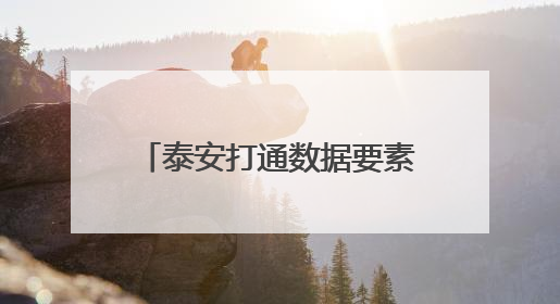 泰安打通数据要素价值化全链路径 典型案例亮相第七届数字中国建设峰会