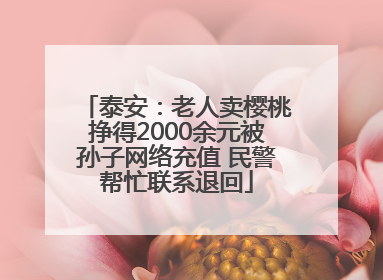 泰安：老人卖樱桃挣得2000余元被孙子网络充值 民警帮忙联系退回