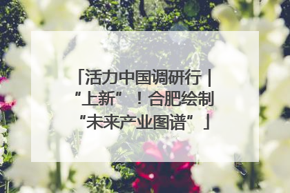 活力中国调研行｜“上新”！合肥绘制“未来产业图谱”