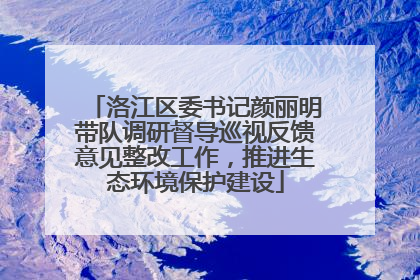 洛江区委书记颜丽明带队调研督导巡视反馈意见整改工作，推进生态环境保护建设