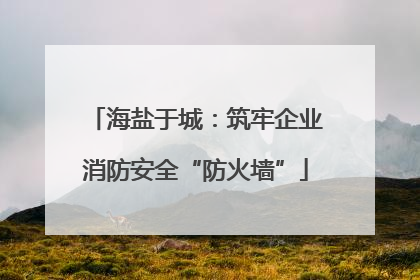 海盐于城：筑牢企业消防安全“防火墙”