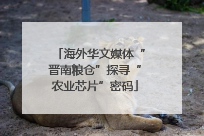 海外华文媒体“晋南粮仓”探寻“农业芯片”密码