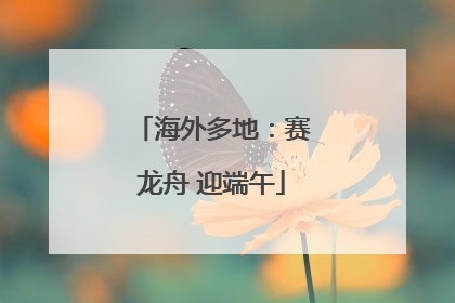 海外多地：赛龙舟 迎端午