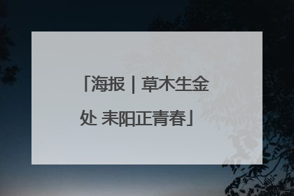 海报｜草木生金处 耒阳正青春