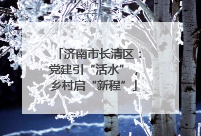 济南市长清区：党建引“活水”，乡村启“新程”