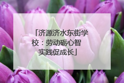 济源济水东街学校：劳动砺心智 实践促成长