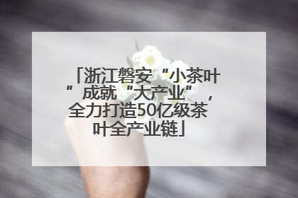 浙江磐安“小茶叶”成就“大产业”，全力打造50亿级茶叶全产业链