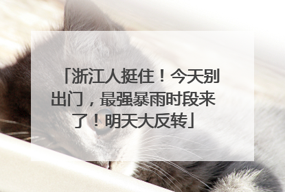 浙江人挺住！今天别出门，最强暴雨时段来了！明天大反转