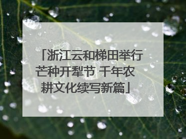 浙江云和梯田举行芒种开犁节 千年农耕文化续写新篇