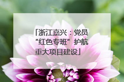 浙江嘉兴：党员“红色专班”护航重大项目建设
