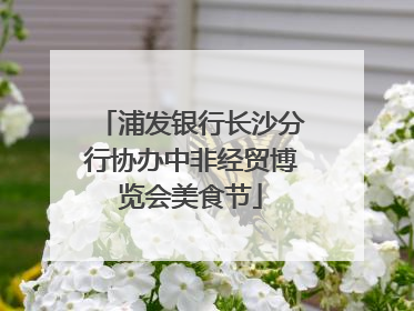 浦发银行长沙分行协办中非经贸博览会美食节