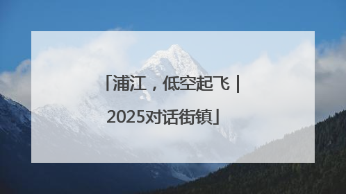 浦江，低空起飞｜2025对话街镇