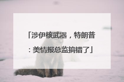 涉伊核武器，特朗普：美情报总监搞错了