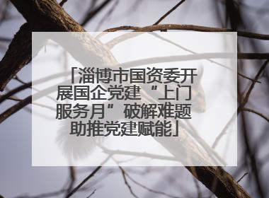 淄博市国资委开展国企党建“上门服务月”破解难题助推党建赋能