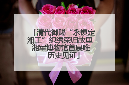 清代御赐“永镇定湘王”织绣荣归故里 湘军博物馆首展唯一历史见证