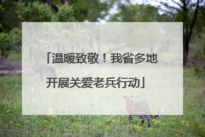 温暖致敬！我省多地开展关爱老兵行动