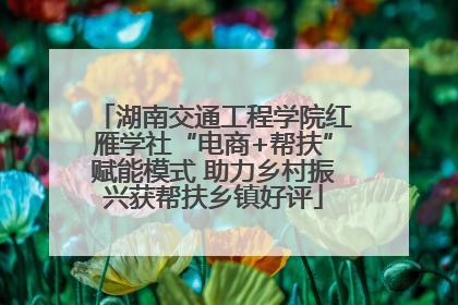 湖南交通工程学院红雁学社“电商+帮扶”赋能模式 助力乡村振兴获帮扶乡镇好评