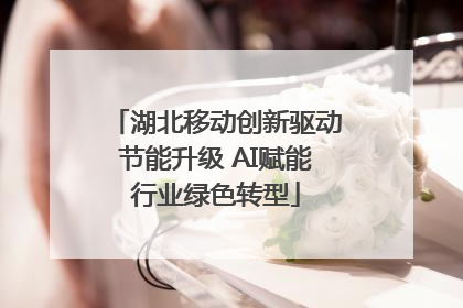 湖北移动创新驱动节能升级 AI赋能行业绿色转型