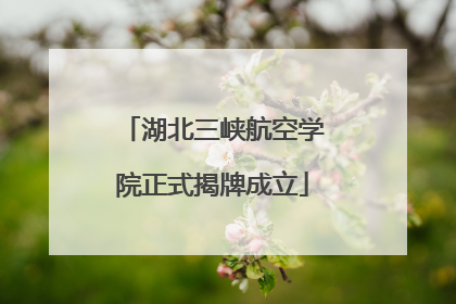 湖北三峡航空学院正式揭牌成立