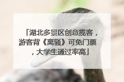 湖北多景区创意揽客，游客背《离骚》可免门票，大学生通过率高