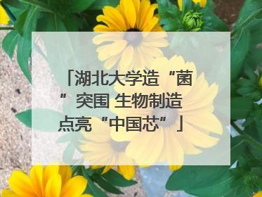湖北大学造“菌”突围 生物制造点亮“中国芯”