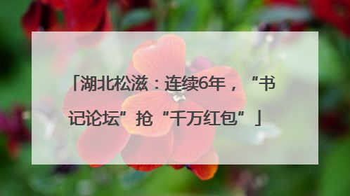 湖北松滋：连续6年，“书记论坛”抢“千万红包”