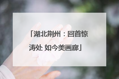 湖北荆州：回首惊涛处 如今美画廊