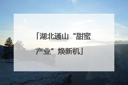 湖北通山“甜蜜产业”焕新机