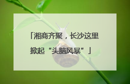 湘商齐聚，长沙这里掀起“头脑风暴”