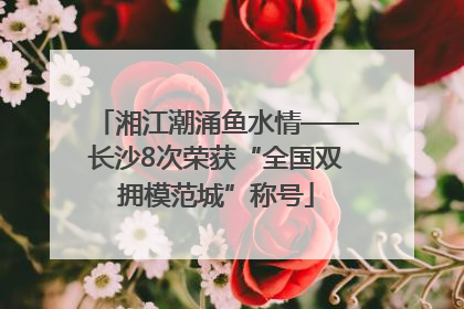 湘江潮涌鱼水情——长沙8次荣获“全国双拥模范城”称号