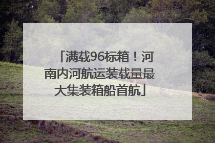 满载96标箱！河南内河航运装载量最大集装箱船首航