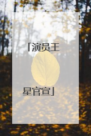 演员王星官宣