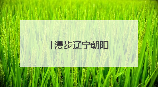漫步辽宁朝阳：感受穿越亿年的文明交响