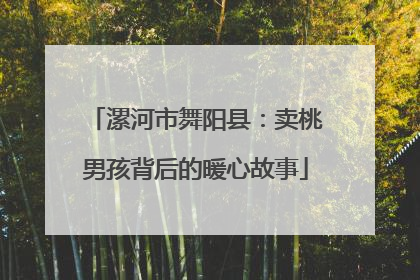 漯河市舞阳县：卖桃男孩背后的暖心故事