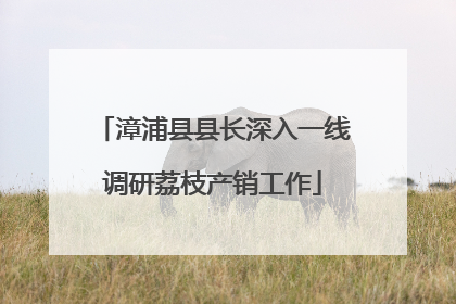漳浦县县长深入一线调研荔枝产销工作