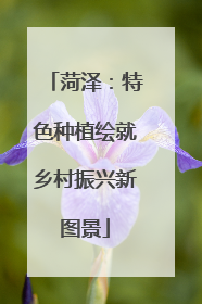 菏泽：特色种植绘就乡村振兴新图景
