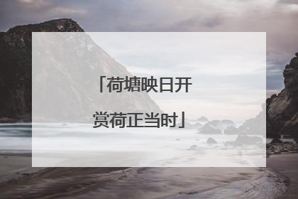 荷塘映日开 赏荷正当时