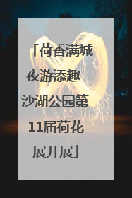荷香满城夜游添趣 沙湖公园第11届荷花展开展
