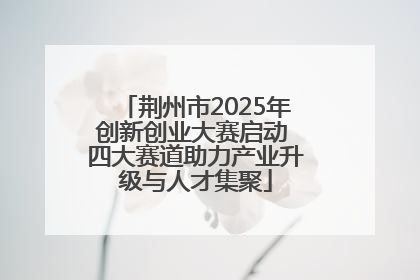 荆州市2025年创新创业大赛启动 四大赛道助力产业升级与人才集聚