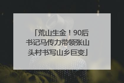 荒山生金！90后书记马传力带领张山头村书写山乡巨变