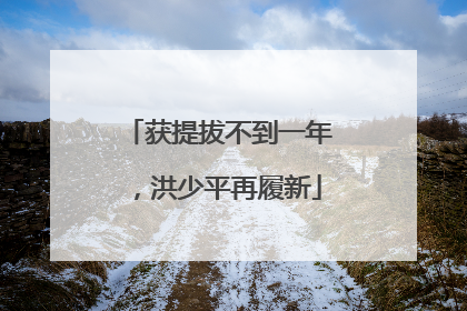 获提拔不到一年，洪少平再履新