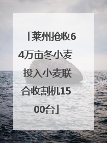 莱州抢收64万亩冬小麦 投入小麦联合收割机1500台