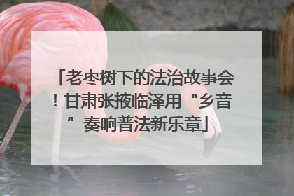 老枣树下的法治故事会！甘肃张掖临泽用“乡音”奏响普法新乐章