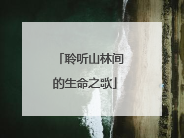 聆听山林间的生命之歌