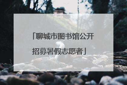 聊城市图书馆公开招募暑假志愿者